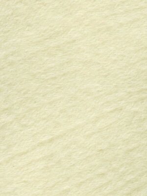 04 Ivory